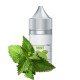 Saltica Mint Premium Salt Likit